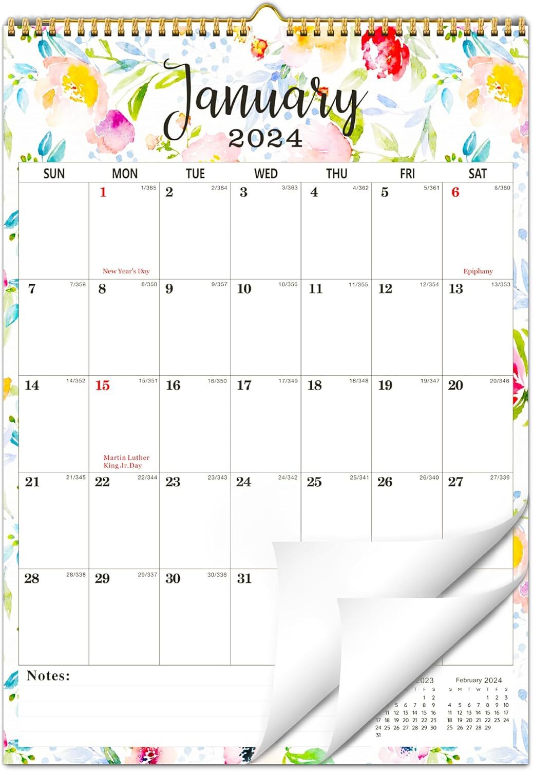 20242025 Wall Calendar 12" x 17" Jan. 2024 Jun. 2025, 18 Colorful