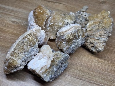 Calcite-Filled Fossil Clams - Lot of 6 - Fort Drum Crystal Mine (Ruck's Pit),...