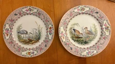 Two Vtg Carl Thieme Saxonian Porcelain Factory Dresden 10-3/4" Bird Plates