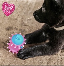 Ancol Squeaky Ball Dog Toys for sale UK