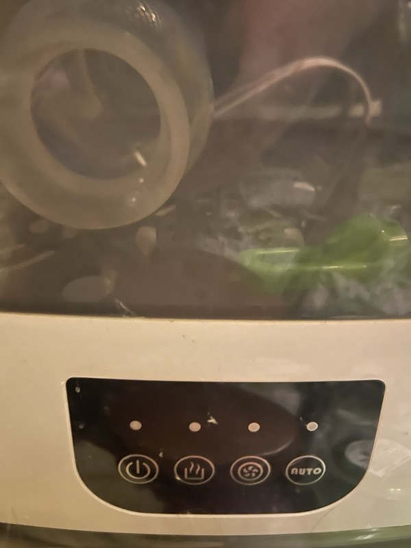 Dr. Brown's Electric Baby Bottle Sterilizer & Dryer, Auto Shut Off, White/Gray