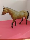 Bryer Quarter Horse — photo 2