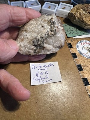 CALIFORNIA  GOLD   Natural Crystalline Vein In Quartz 4.8 Oz  Sierra Az.