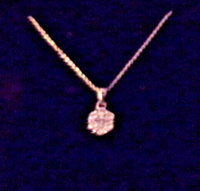 NEW Pendant Necklace Diamond Cubic Zirconia Jones New York in box