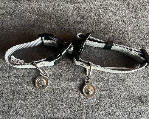 Sparkly Cat Or Small Dog Collars Lot Of 2 Bond & Co.