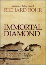 Immortal Diamond: The Search for Our True Self - Hardcover - GOOD