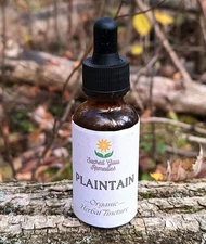 Plantain Fresh Leaf Tincture, Detox, Gut Health, Lungs, Organic Herbal Extract