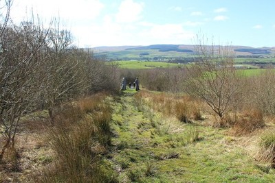 Foto 6x4 Comet Walk, Crawford Multiverse Sanquhar c2017