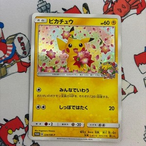 Pikachu 224 Sm P | eBay