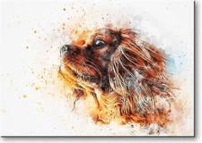 Brown Puppy Dog Picture on Stretched Canvas, Wall Art Décor, Ready to Hang