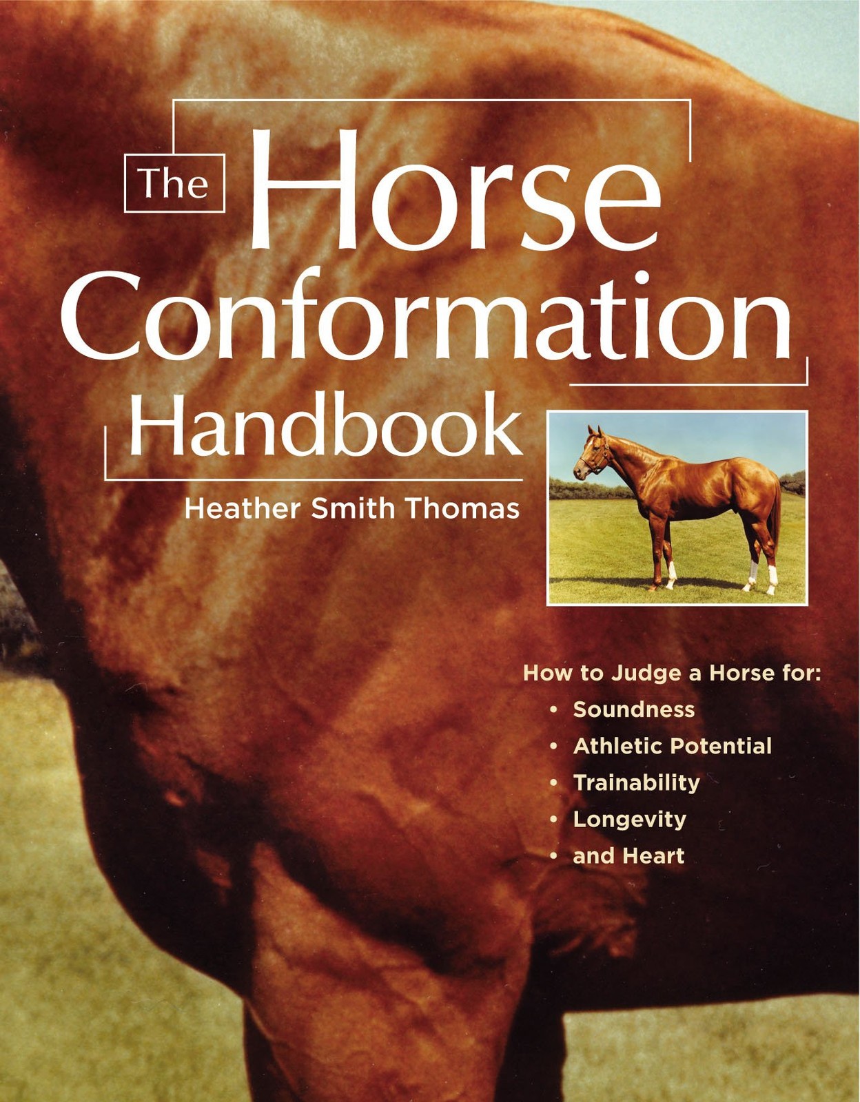The Horse Conformation Handbook. Thomas, Rissanen, (ILT) 9781580175586 New** - Image 8