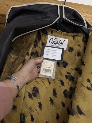 Luxury Chantel Expert Furrier Mink (Musteia Vision) Coat with Original Tags