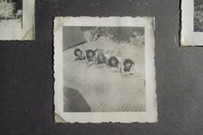 Album de 215 Photos Amateur Vers 1930/1950