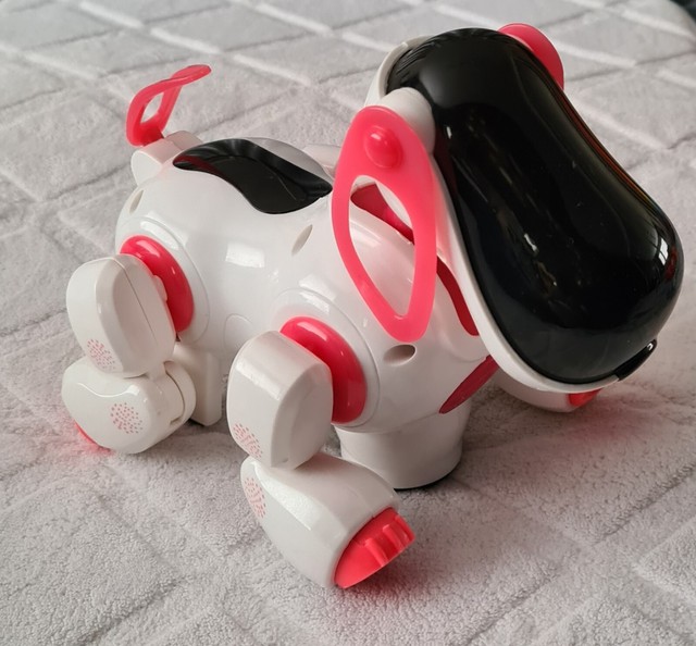 dexter the robot dog