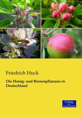 Friedrich Huck | Die Honig- und Bienenpflanzen in Deutschland | Taschenbuch