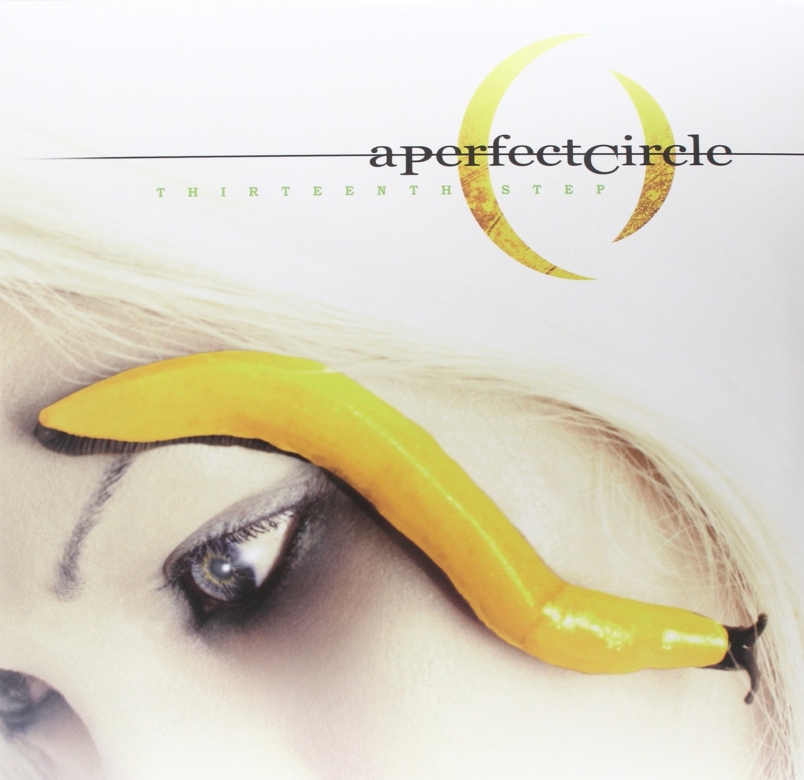 A Perfect Circle Thirteenth Step (Vinyl LP)