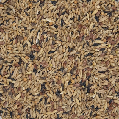 Gladen - Kanarien ohne Rübsen - Vogelfutter - 20kg