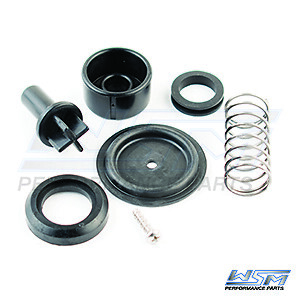 Poppet Valve Kit Mercury 75-125 HP WSM 785-105 803060T1