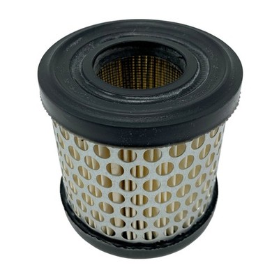 Luftfilter passend für Briggs und Stratton 2PS - 5PS ersetzt 396424 396434S