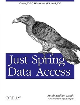 Just Spring Data Access - 9781449328382