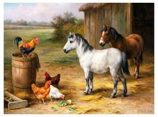 Farm Ranch Rooster Horse Poultry Tile Mural Kitchen Backsplash Marble Ceramic