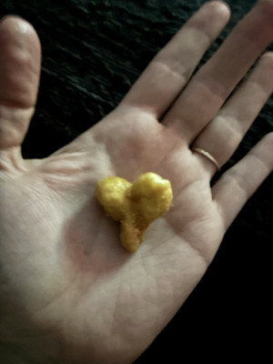 ONE OF A KIND! Buccee s Heart Shaped Caramel Sea Salt Beaver Nugget 