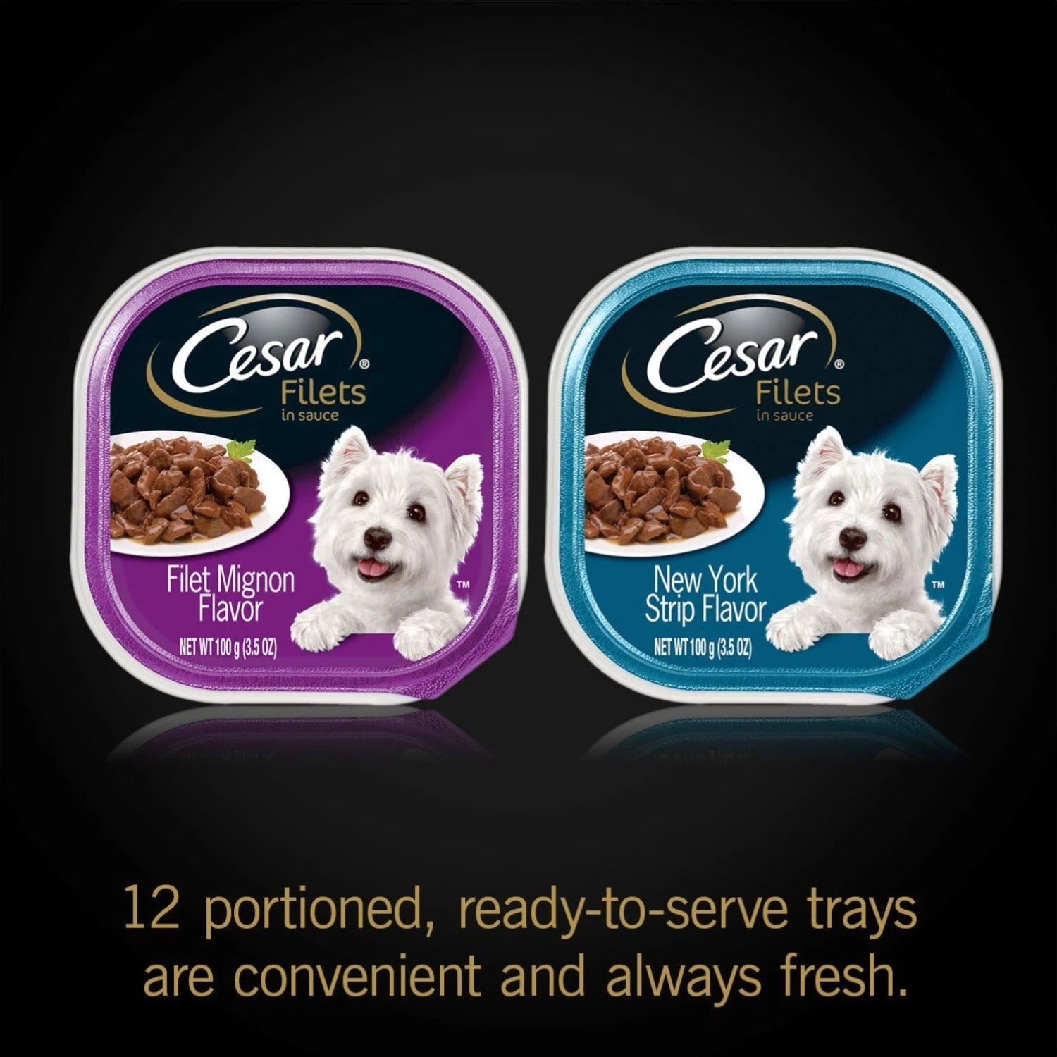 Filets in Gravy Adult Wet Dog Food Variety Pack, Filet Mignon and New York St...