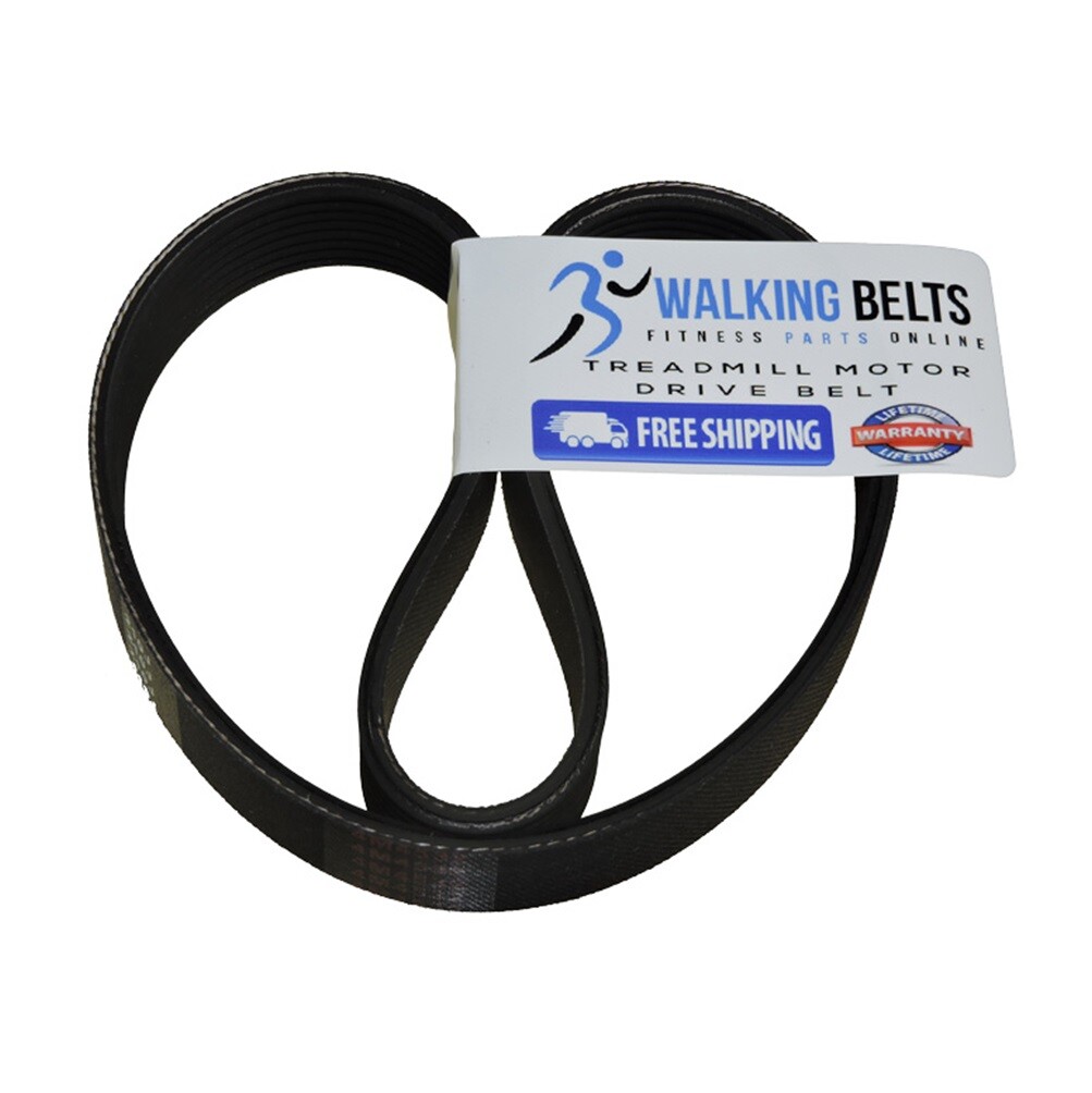 WLTL93062 Weslo Cadence 930 Treadmill Motor Drive Belt Free 1oz Lube