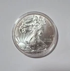 2013 $1 American Eagle 1 oz Silver Dollar Coin Walking Liberty listing #3c