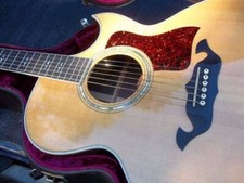 815C Taylor guitar - Golden Era