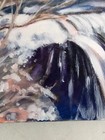 Bild 8 von 12