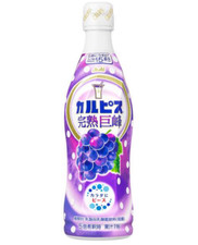 CALPIS Japan Concentrate 470ml Milk Soft Drink for About 15 Cups