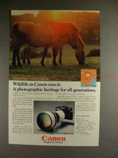 1981 Canon F-1 F1 Camera Ad, Przewalski's Horse - NICE!