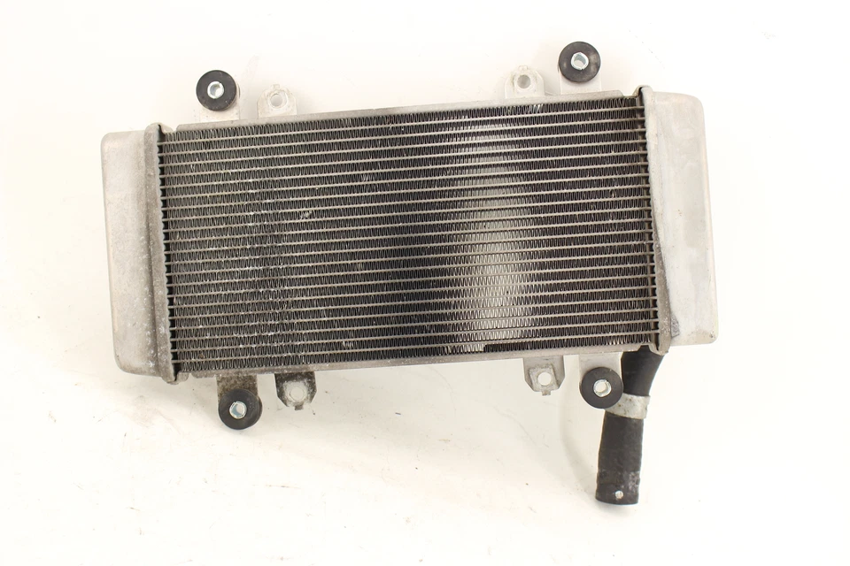 Kawasaki Ninja 300 Ex300B 2015 ABS motor fabricante original radiador motor enfriador refrigeración Foto 2 de 4