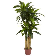 Corn Stalk Dracaena faux Plant Real Touch faux Natural 4'Decor
