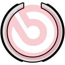 BREMBO Bremsbackensatz, Feststellbremse S 15 502 für DAEWOO HYUNDAI KIA