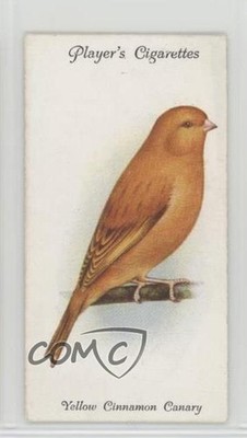 1933 Player's Aviary and Cage Birds Tobacco Yellow Cinnamon Canary #6 1md