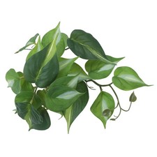 Fake Reptile Plants Terrarium Decor Turtle Tank Artificial Vine Suction Cup