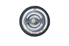 Thermostat Toyota MODELE F