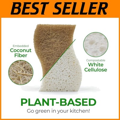 Eco Kitchen Sponges - Compostable, 12 Pack