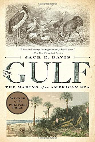 The Gulf: The Making of an American Sea - Davis, Jack E.