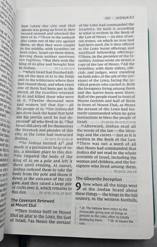 Zondervan NIV Personal Size Reference LARGE PRINT Leathersoft Teal/Aqua NICE - Picture 16 of 23