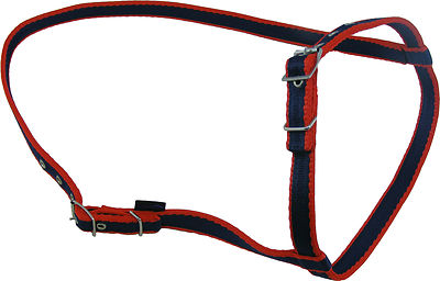 Offizieller Libby's Standard Nasenriemen - Mini kleines Pony Pony Cob Full X Full