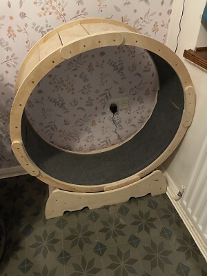 cat exercise wheel used UK