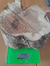 Eibe EIBENHOLZ  Edelholz drechseln Schmuck Basteln Gross Schnitzen Holz Maserung