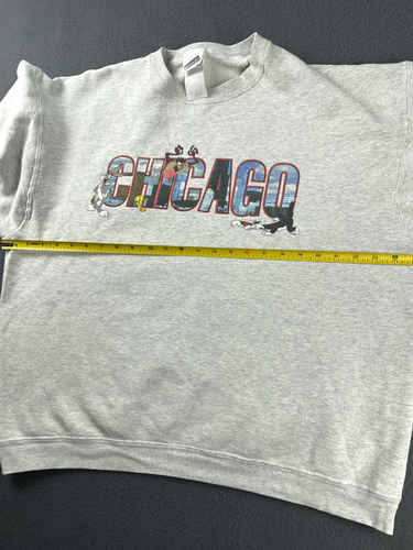 Sudadera De Colección 1999 Warner Bros Chicago Para Hombres L Gris Skyline Taz Bugs Bunny Crew - Imagen 12 de 16