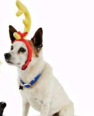 Dr. Seuss Dog Max Headband with Antler Horn How Grinch Stole Christmas ...