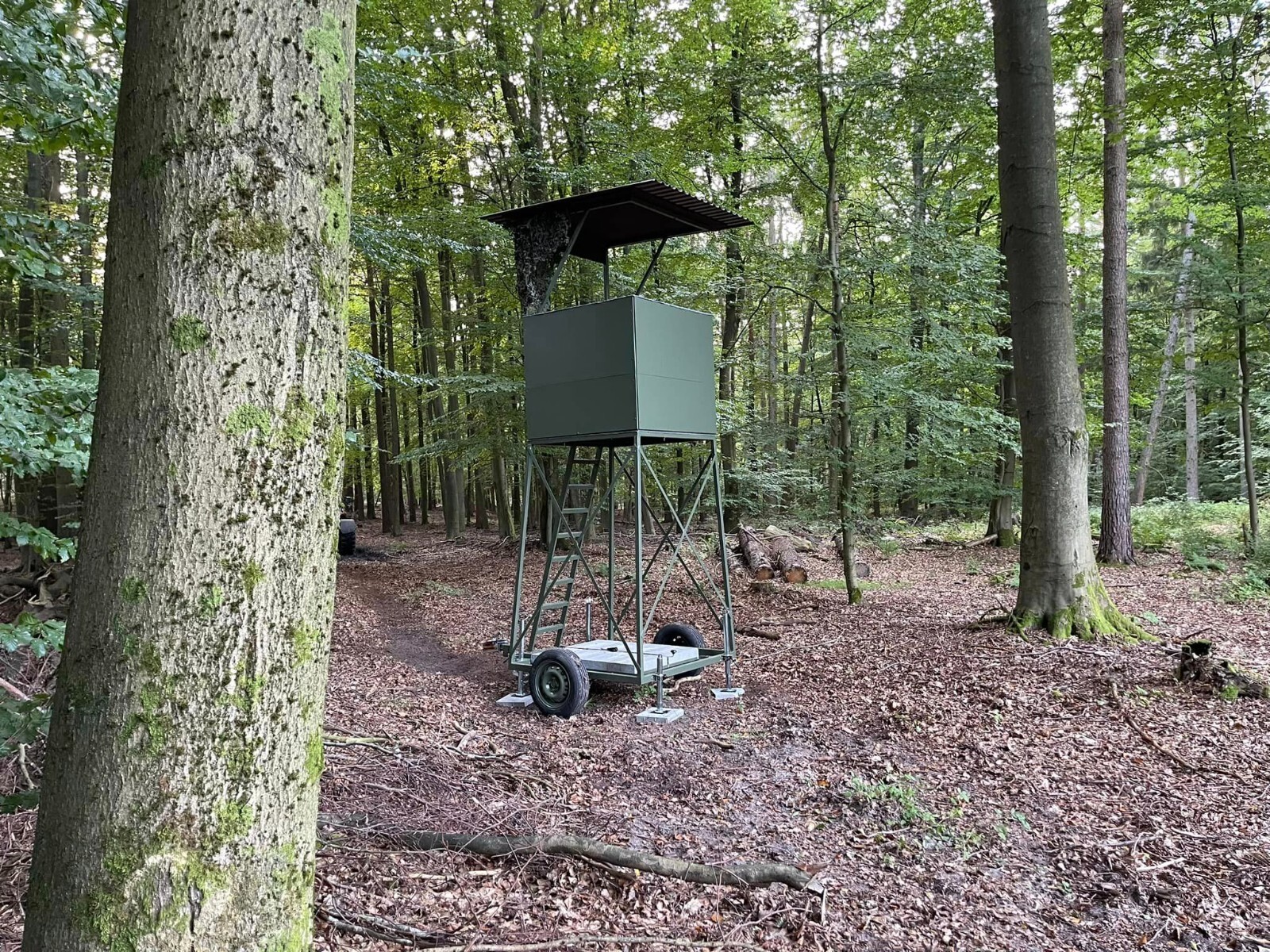 Bild 14 von 18