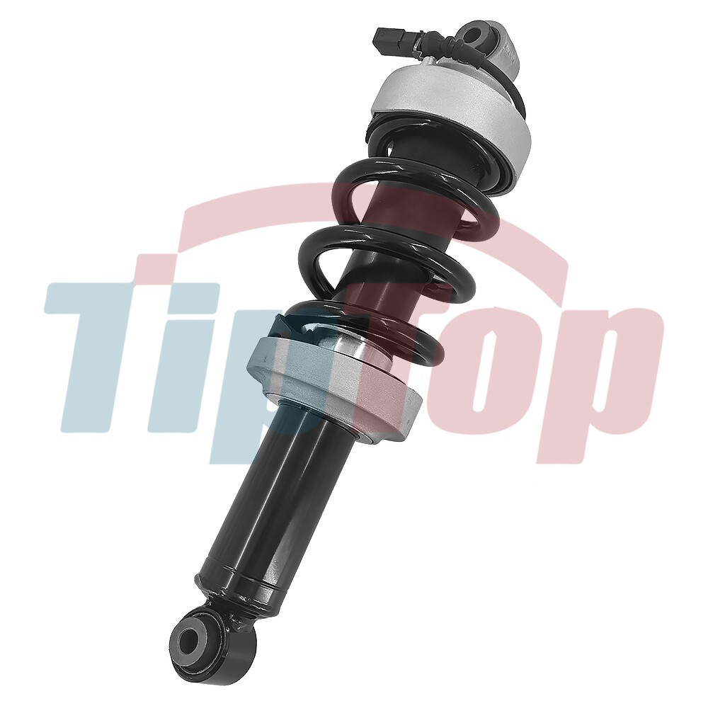 Front Shock Absorber Strut with Magnetic Fit 2007-2015 Audi R8 V8 V10 420412019Q