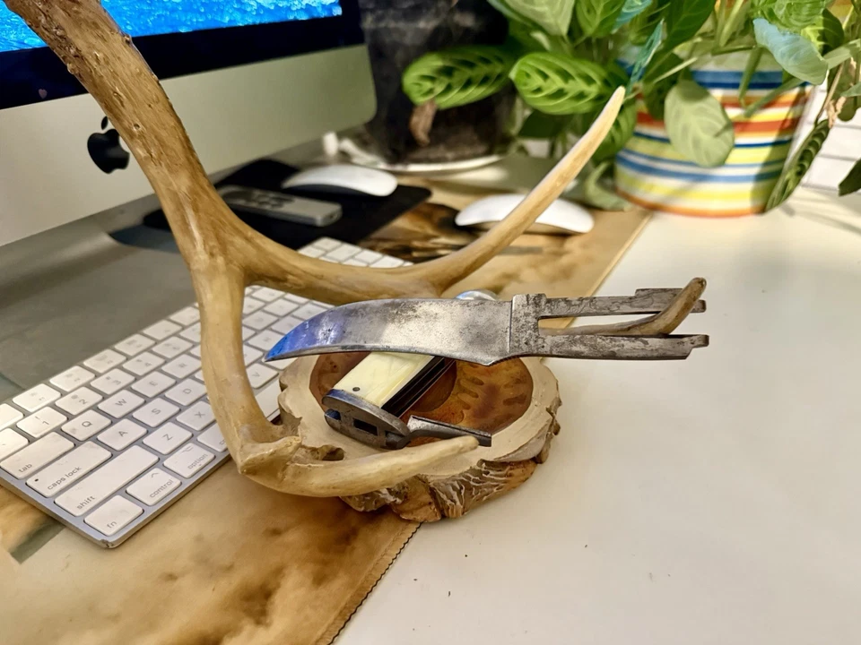 Cuchillo Western What Pearl mango de ciervo mango con mango intercambiable con funda Foto 2 de 4